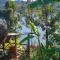 Amasiko Homestay Lake Bunyonyi - Kabale