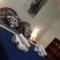 Bed And Breakfast Delle Grotte