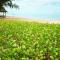 Bayview Beach Resort - Ban Krut