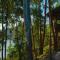 Amasiko Homestay Lake Bunyonyi