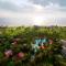 Taj Exotica Resort & Spa, Goa - Benaulim