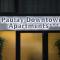 Paulay Downtown Apartments