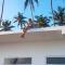 Sunset Surfing Beach Resort