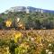Séjour Pic Saint Loup photo 11