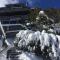 Foto: Winterhaus Lodge Thredbo Village 17/37