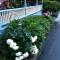 Rose & Thistle Bed & Breakfast