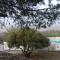Al Jatib