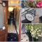 Softly Residence