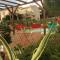 B&B Macchia Verdata avec piscine chauffée photo 8