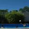 Alfil Apartamentos Villa Gesell