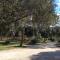 Séjour Pic Saint Loup photo 20
