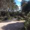 Séjour Pic Saint Loup photo 23