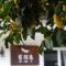 Hangzhou JiuYueJi Bed&Breakfast - Chang-čou
