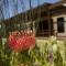 The Riverstone House