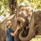 Anantara Golden Triangle Elephant Camp & Resort