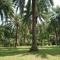 Lopburi Palm Resort - Lop Buri