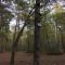 Gite cosy proche Fontainebleau et foret photo 23