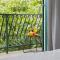 Great Located Family Apartments