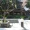 Foto: Guangzhou Riverside Garden Homestay 145/154