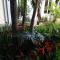 Clover Homestay