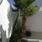 Casa Euphorbia