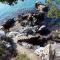 Foto: Apartments by the sea Stikovica, Dubrovnik - 4717 7/32