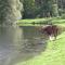 Domaine du Moulin de l'Etang - Châtillon-sur-Marne