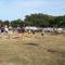 Camping Les Mielles photo 14