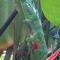 La Case Floria