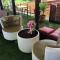 Shafa Resort