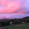 Penddaulwyn Uchaf Farm # Carmarthenshire