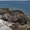 Apartments by the sea Milna, Vis - 2461