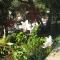 Le Clos Olives