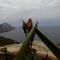 Olympos Archipelagos