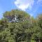 Apartments by the sea Artatore, Losinj - 8022