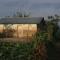 Amasiko Homestay Lake Bunyonyi