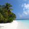 Beach Palace