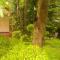 Marari Beach Pearl Homestay