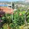 Apartments with parking space Slano, Dubrovnik - 8540
