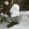 Balcone sulle Dolomiti