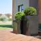 Regal Inn Hotel Midrand