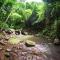 Martinique Treehouse