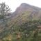Mellow Homestay
