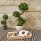 G4 Apartment Milmari