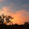 Fish Eagle Lodge