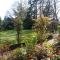 Dawyk Beech Guesthouse