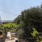 Apartments with parking space Punat, Krk - 5410