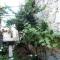 Apartment Sucuraj 136b