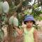 Sneha Farm House