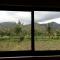 Mesari Homestay & Warung